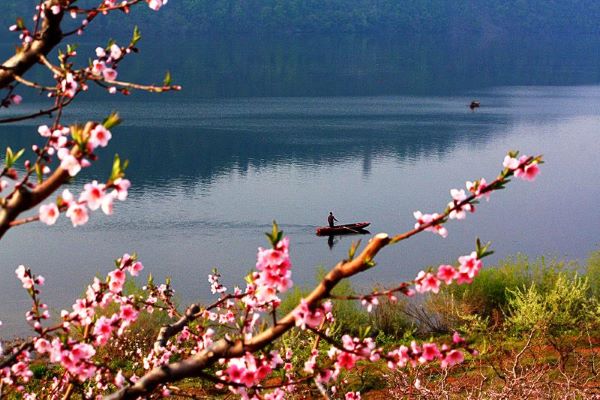 春游江淮請(qǐng)您來(lái)丨清明踏青天堂寨，詩(shī)意美景惹人醉